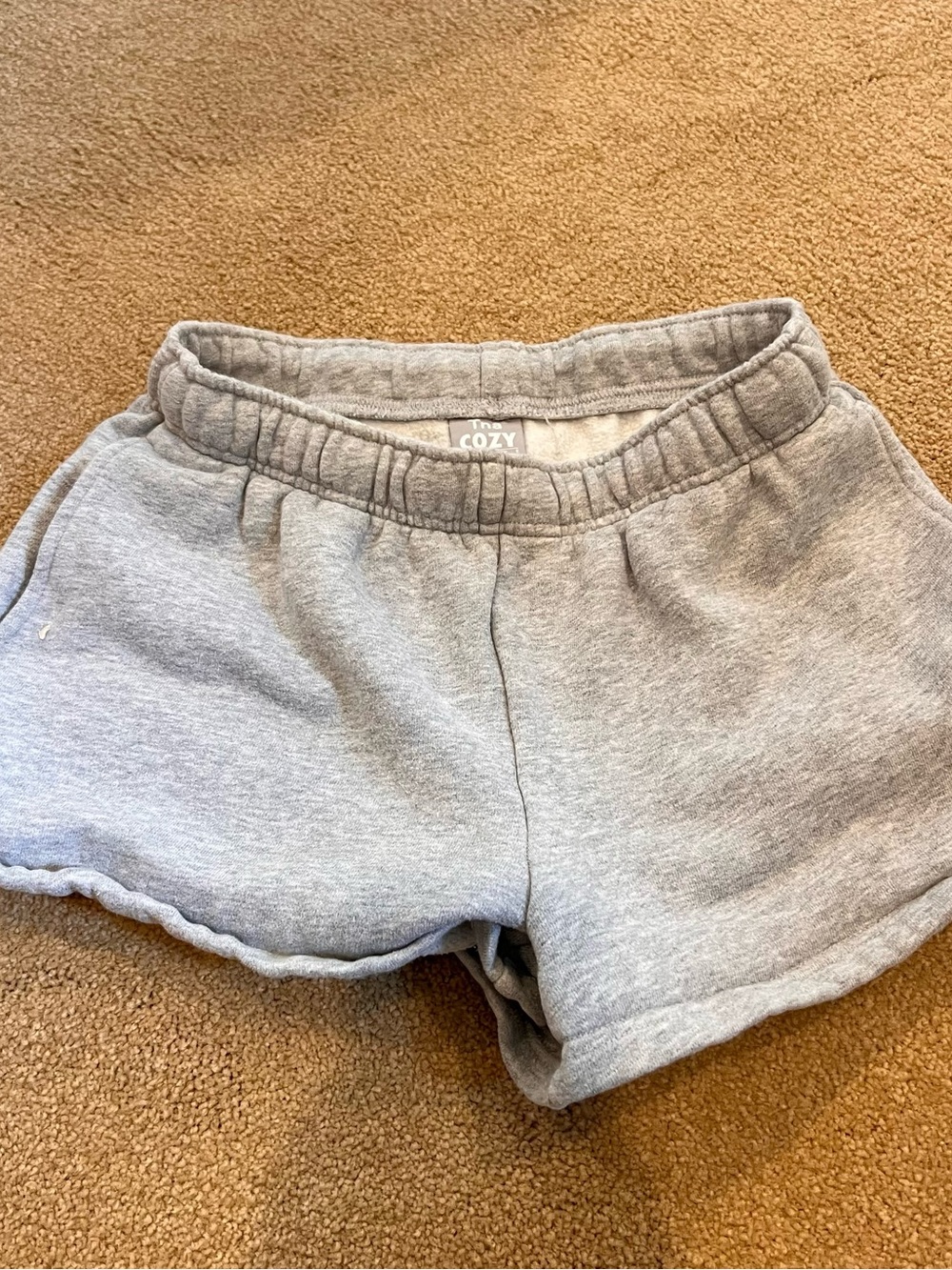 Aritzia TNA boyfriend sweat shorts